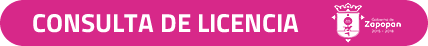 titulo consulta de licencia en sistema