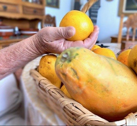 Recomienda DIF Zapopan cuidar la alimentación de las personas mayores