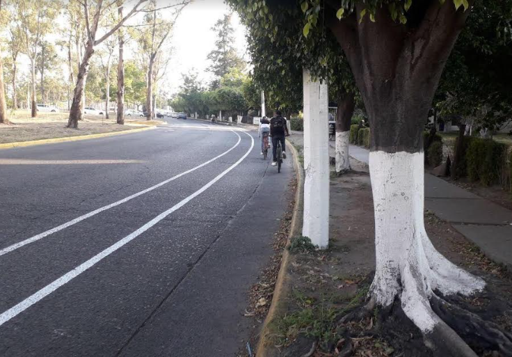 Incrementa en 43 por ciento aforo ciclista en avenida Guadalupe