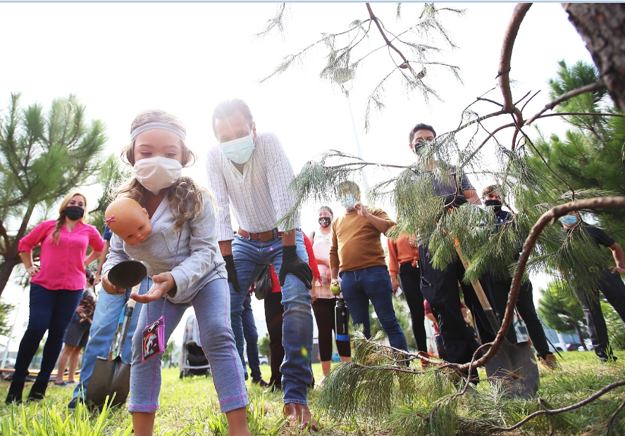 Municipio y colonos realizan jornada de reforestación en El Fortín 