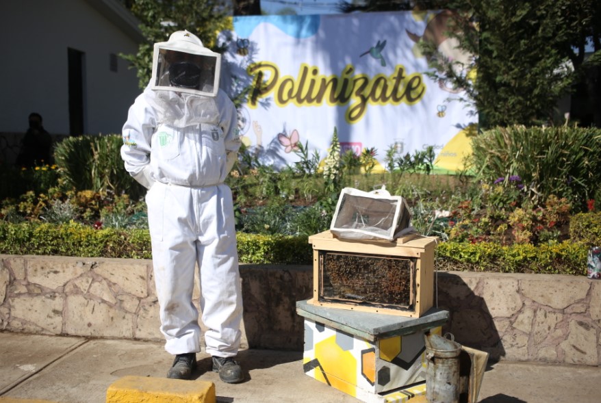 Suma Zapopan estrategias para el cuidado y preservación de las abejas