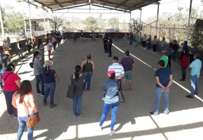 Analizan reanudar equinoterapia en Zapopan