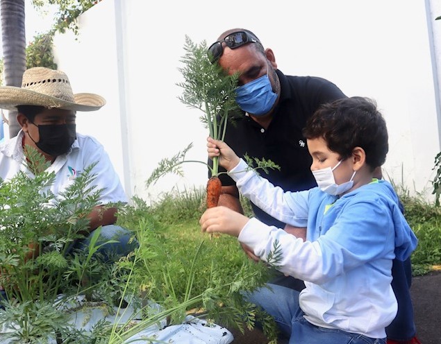 Cosechan zanahorias niñas y niños del Centro de Autismo de DIF Zapopan