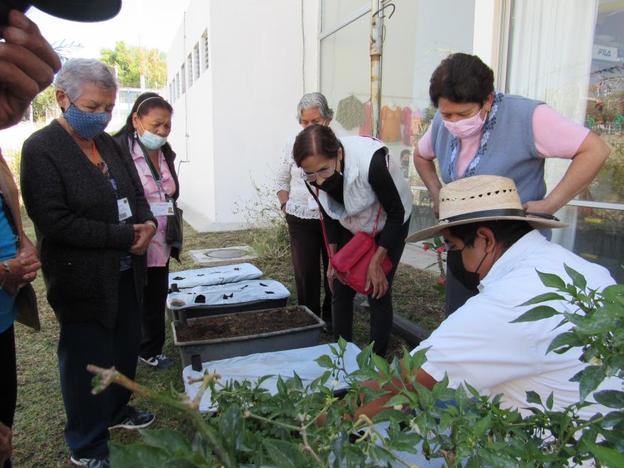 DIF Zapopan capacita a personas mayores sobre huertos urbanos