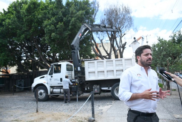 Zapopan retira árboles muertos que representan riesgo para la ciudadanía