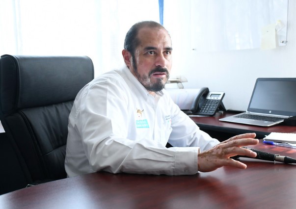 Zapopan exhorta a reportar ganado suelto o extraviado