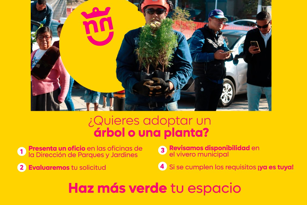 ¿Quieres adoptar un árbol o una planta?