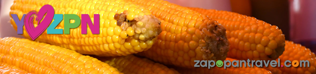 Feria del Elote Tesistán Jalisco