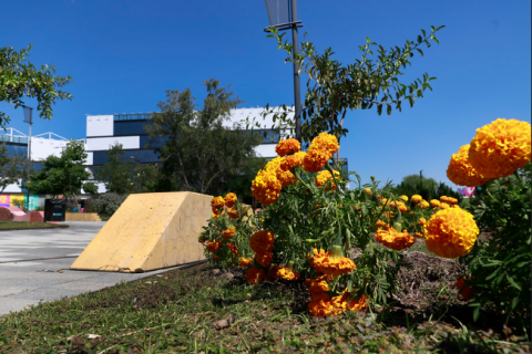 Con una velada en el Parque de las Niñas y los Niños, Zapopan recordará a las y los fieles difuntos